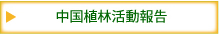 中国植林活動