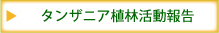 タンザニア植林活動
